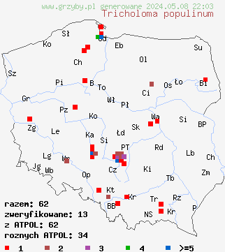 znaleziska Tricholoma populinum (gąska topolowa) na terenie Polski