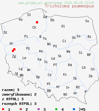 znaleziska Tricholoma psammopus (gąska modrzewiowa) na terenie Polski