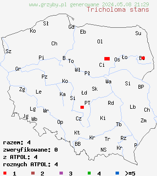 znaleziska Tricholoma stans (gąska gorzkawa) na terenie Polski