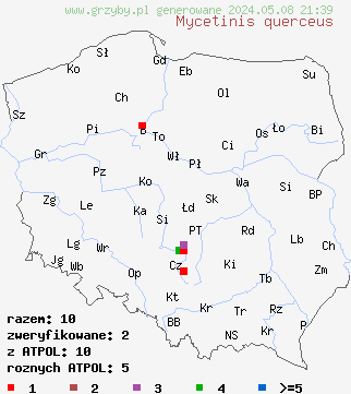 znaleziska Mycetinis querceus (twardzioszek szczypiórkowy) na terenie Polski