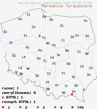 znaleziska Marasmius torquescens (twardzioszek żółtobrązowy) na terenie Polski