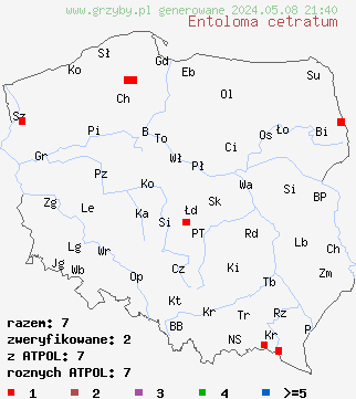 znaleziska Entoloma cetratum (dzwonkówka ochrowa) na terenie Polski