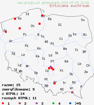znaleziska Entoloma euchroum (dzwonkówka fioletowawa) na terenie Polski