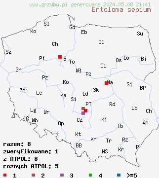 znaleziska Entoloma sepium (dzwonkówka mącznowonna) na terenie Polski