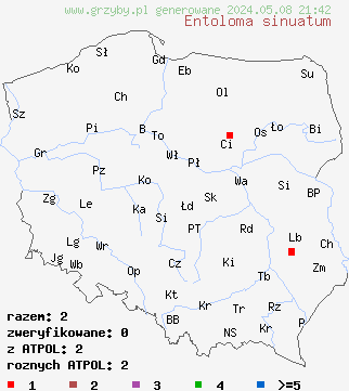 znaleziska Entoloma sinuatum (dzwonkówka trująca) na terenie Polski