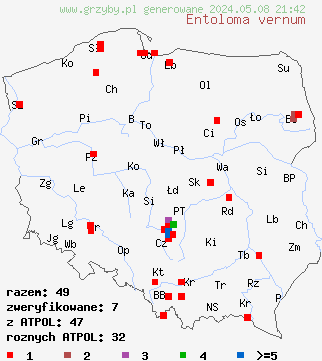 znaleziska Entoloma vernum (dzwonkówka wiosenna) na terenie Polski