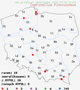 znaleziska Coprinellus flocculosus (czernidłak kłaczkowaty) na terenie Polski