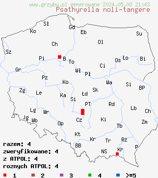 znaleziska Psathyrella noli-tangere (kruchaweczka najdelikatniejsza) na terenie Polski