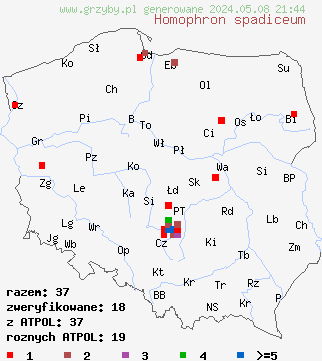 znaleziska Homophron spadiceum (kruchaweczka gładka) na terenie Polski