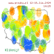 aktualny stan występowania grzybów jadalnych w Polsce