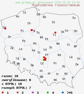 znaleziska Hyphoderma roseocremeum (strzępkoskórka różowokremowa) na terenie Polski