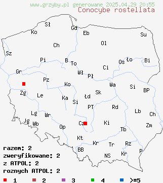 znaleziska Conocybe rostellata na terenie Polski