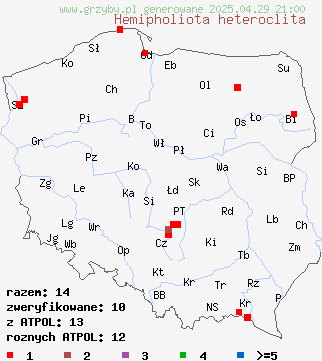 znaleziska Hemipholiota heteroclita (łuskwiak włóknistołuskowaty) na terenie Polski