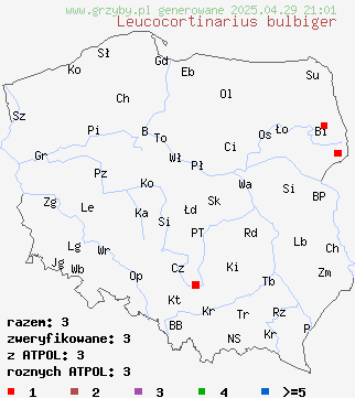 znaleziska Leucocortinarius bulbiger (białozasłonak bulwiasty) na terenie Polski