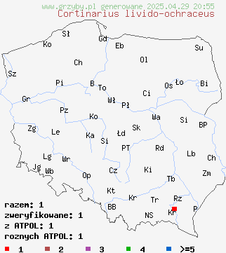 znaleziska Cortinarius livido-ochraceus (zasłonak wyniosły) na terenie Polski