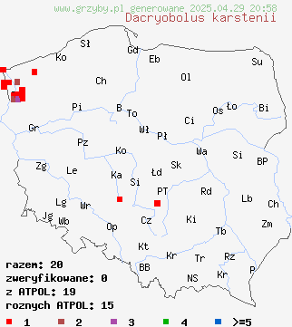znaleziska Dacryobolus karstenii (płaszczek gruzełkowany) na terenie Polski