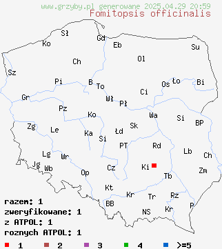 znaleziska Fomitopsis officinalis (pniarek lekarski) na terenie Polski