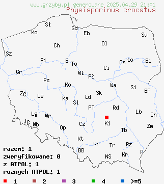 znaleziska Physisporinus crocatus (twardoporek czerniejący) na terenie Polski