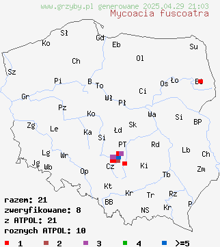 znaleziska Mycoacia fuscoatra (woszczyneczka czerniejąca) na terenie Polski