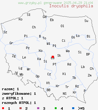 znaleziska Inocutis dryophila (błyskoporek dębowy) na terenie Polski