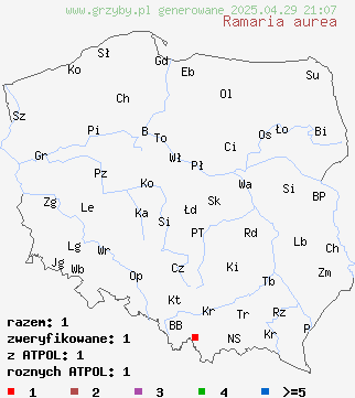znaleziska Ramaria aurea (koralówka złocista) na terenie Polski