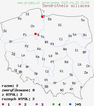 znaleziska Dendrothele alliacea (drzewkostrzępka wąskozarodnikowa) na terenie Polski