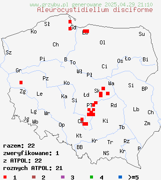 znaleziska Aleurocystidiellum disciforme (tarczóweczka krążkowata) na terenie Polski