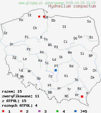 znaleziska Hydnellum compactum (kolczakówka żółtobrązowa) na terenie Polski