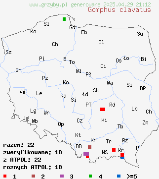 znaleziska Gomphus clavatus (siatkoblaszek maczugowaty) na terenie Polski
