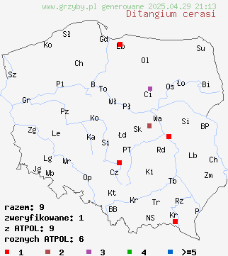 znaleziska Ditangium cerasi (dzbaneczkówka różowawa) na terenie Polski