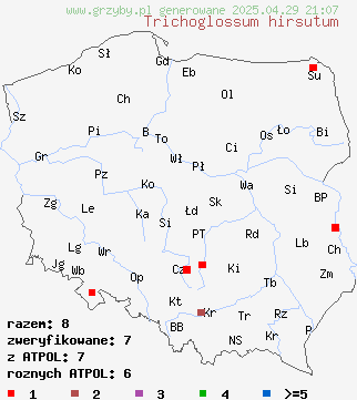 znaleziska Trichoglossum hirsutum (włosojęzyk szorstki) na terenie Polski