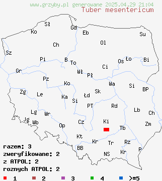 znaleziska Tuber mesentericum (trufla wgłębiona ) na terenie Polski