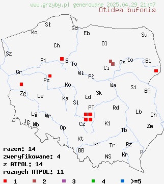 znaleziska Otidea bufonia na terenie Polski