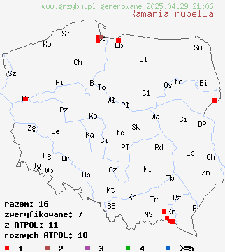 znaleziska Ramaria rubella na terenie Polski