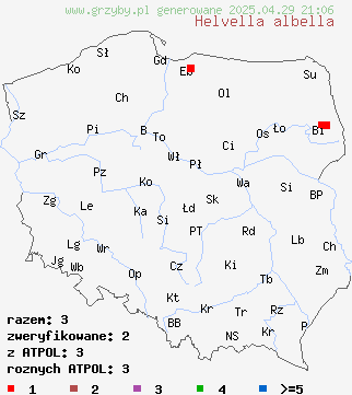 znaleziska Helvella albella na terenie Polski