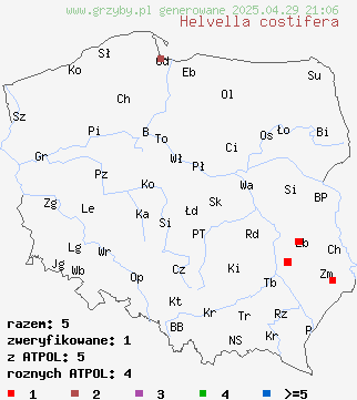 znaleziska Helvella costifera na terenie Polski