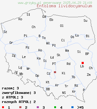 znaleziska Entoloma lividocyanulum (dzwonkówka błyszcząca) na terenie Polski