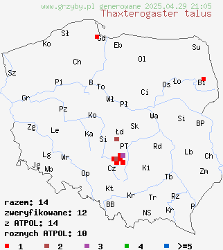 znaleziska Thaxterogaster talus (zasłonak bladoochrowy) na terenie Polski