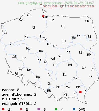 znaleziska Inocybe griseoscabrosa na terenie Polski