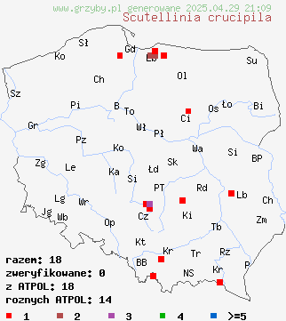 znaleziska Scutellinia crucipila na terenie Polski