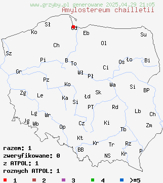 znaleziska Amylostereum chailletii (skórniczek jodłowy) na terenie Polski
