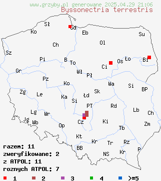 znaleziska Byssonectria terrestris (oranżówka naziemna) na terenie Polski