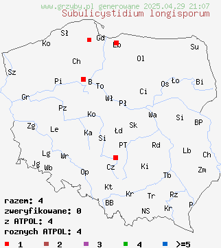 znaleziska Subulicystidium longisporum (szydłowniczek długozarodnikowy) na terenie Polski