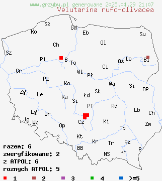 znaleziska Velutarina rufo-olivacea na terenie Polski
