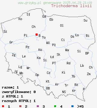 znaleziska Trichoderma lixii na terenie Polski