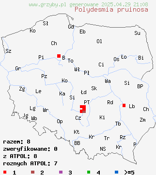 znaleziska Polydesmia pruinosa na terenie Polski