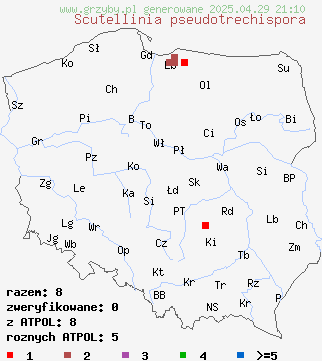 znaleziska Scutellinia pseudotrechispora na terenie Polski