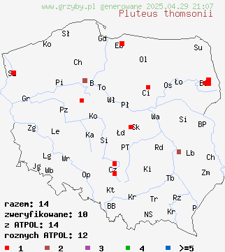 znaleziska Pluteus thomsonii (drobnołuszczak szarotrzonowy) na terenie Polski