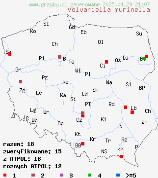 znaleziska Volvariella murinella (pochwiak myszaty) na terenie Polski