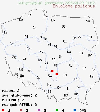 znaleziska Entoloma poliopus na terenie Polski